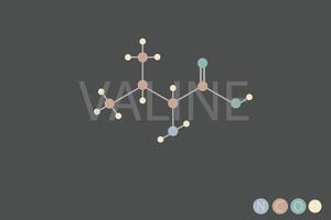 valina molecular esquelético químico fórmula vector