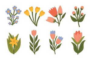 Set of spring colorful flowers vector