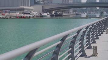 Dubai, VAE - - 4 11 2018. jung sportlich Frau mit lange Haar im Gamaschen und oben tun Dehnen beim das Seebrücke gegen das Hintergrund von Dubai video