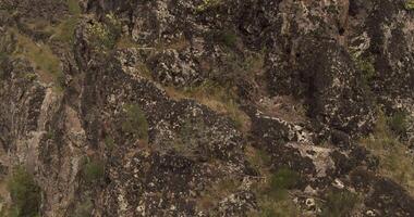 Chimgan, Uzbekistan - 10 8 2022. A drone flies around a young woman climber climbing a steep cliff video