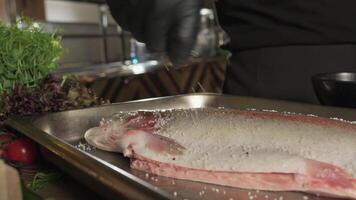 Chef in gloves salting and peppering fish lying on kitchen table surrounded by greens, tomatoes and vegetables video