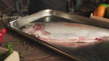 chef dans gants salaison poisson sur cuisine table parmi herbes, tomates et des légumes video