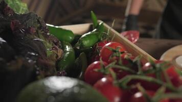 chefe de cozinha colheita grupo do tomates a partir de uma cesta do ervas com uma com luva mão video