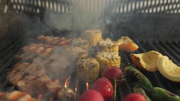 chefe de cozinha lubrificação grelhado peixe, tomates e legumes video