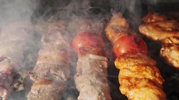 pollo, carne y hígado kebabs son frito en un abierto parrilla con carbón video