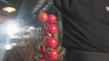 Koch zieht ein Bündel von Kirsche Tomaten mit seine behandschuhte Hand und wirft Sie auf das Tabelle mit Kräuter und Gemüse video