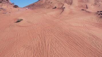 en Drönare flugor över en buggy körning genom de sand sanddyner av de öken- video