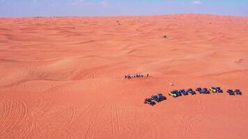 dubai, Emirati Arabi Uniti - 1 14 2023. un' fuco mosche al di sopra di un' caravan di passeggini in piedi su un' deserto sabbia duna. video