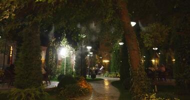 Tashkent, Uzbekistan - 8 4 2022. Night cafe in the open air among Christmas trees. video