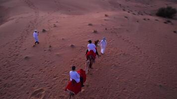 dubai, uae - 1 14 2023. en Drönare flygande över turister ridning en kamel på de sandstrand av de öken. video