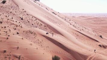 zangão Visão do pessoas equitação em uma borda em a areia dunas do a deserto video