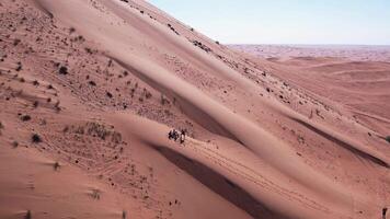 Drohne Aussicht von Menschen Reiten auf ein Tafel auf das Sand Dünen von das Wüste video