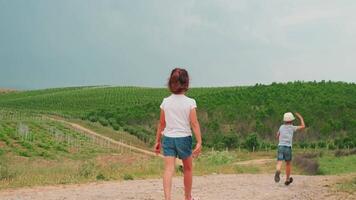 dois crianças, Garoto e garota, em a país estrada filmado a partir de a costas video