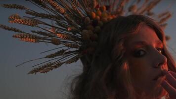 Close-up face of a young woman in autumn headdress on the background of sunset in the mountains video