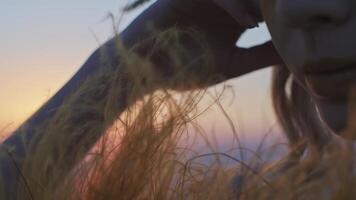 makro planen av skön ung kvinna i höst utrusta tillverkad av gräs löv och blommor på solnedgång bakgrund i bergen video