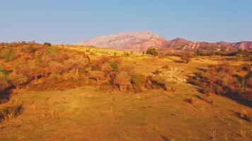 Drone flies over film crew and young woman in autumn outfit on meadow in mountains on sunset background video