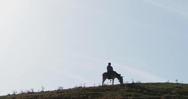 Taskent, Uzbekistán - 2 10 2023. silueta de un chico montando un Burro en el montañas en el antecedentes de el puesta de sol video