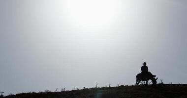 silhouette di un' ragazzo equitazione un' asino nel il montagne su il sfondo di il tramonto video