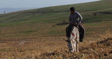 Tashkent, Uzbekistan - 10 2 2023. Boy on a donkey in Central Asian autumn mountains video