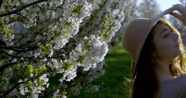 Mädchen mit lange Licht braun Haar, grau Augen tragen Rosa Kleid und Hut Spaziergänge durch Apfel Gardens video