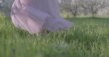 Girl wearing airy pink dress walking on the dense green grass walks through apple gardens on sunny day video