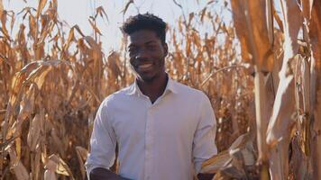 Young african american agronomist farmer standing in the middle of a corn field and smiling video