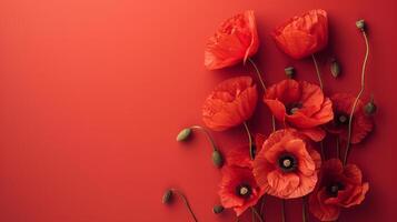 AI generated Poppy flowers top view, summer background, free space photo