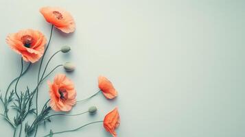 AI generated Poppy flowers top view, summer background, free space photo