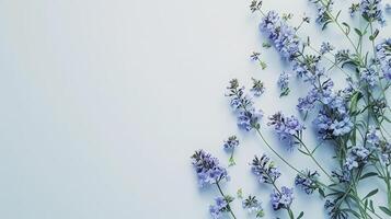 ai generado azul flores parte superior vista, floral fondo, gratis espacio foto