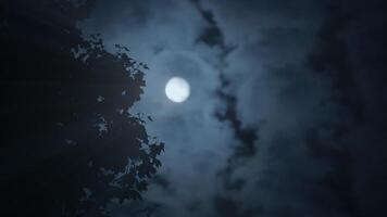 Spooky Dark Mystery Night Mood Of Full Moon Planet In Space Universe video