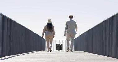 dois jovem pessoas caminhando juntos em ponte estrada com lago Visão video