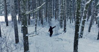 perdido e Exausta pessoa caminhada dentro inverno em aventura expedição viagem video