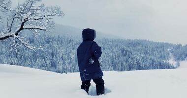 perdu et épuisé la personne randonnée dans hiver sur aventure expédition périple video