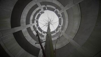 Lifestyle Portrait of Two Young Women Watching Tower Building Together video