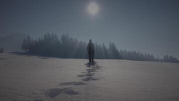 männlich Person Gehen im tief Schnee suchen beim Single Baum video