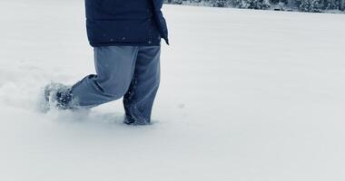 Hiker Walking in Deep Snow Outdoors in Forest Landscape video