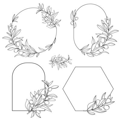 Set of black Olive frames branches. Olive branches frames and wreaths line art hand drawn.Vintage collection. Vector decorative elements. Leaves, swirls, ornate, for labels, wedding invitation
