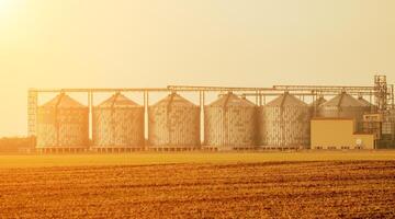 Silos and granary elevator. Modern agro-processing manufacturing plant with grain-drying complex. processing, drying, cleaning, and storing agricultural products in wheat, rye or corn fields photo