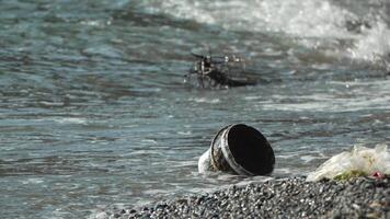 des ordures sur plage - aîné homme recueille Plastique des ordures sur plage après tempête, maintenir propreté et conservation environnement. video