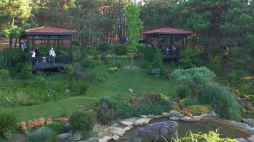 dinde Istanbul 13 juin 2023. une belvédère niché au milieu de vibrant verdure de une forêt video