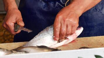 schoonmaak vis voor verder Koken video