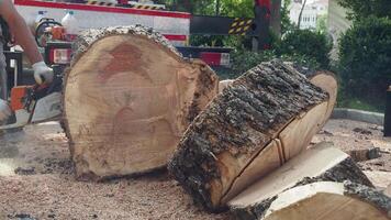 turkey istanbul 23 june 2023. Stack of hardwood logs create a rustic landscape in front of the house video