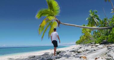 Tourist Mann entspannend auf das Strand. schlank Mann Ferien auf Paradies Strand video