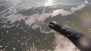 professionnel surfeur équitation sur une s'écraser vague. première personne vue de surfant dans océan à lever du soleil video