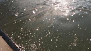 Surfer on surfboard riding on a ocean wave. First-person view of surfing in ocean video