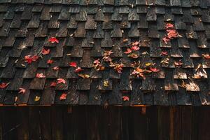 Maple leaf fall on wooden roof photo