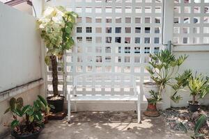 White bench chair by white wall in tropical plant garden photo