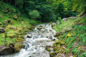 Cascade stream flowing in deep forest during summer photo