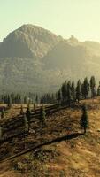 Mountains covered with woods in the early morning mist video