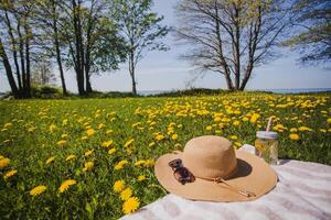 Hat and sunglasses in a beautiful landscape photo